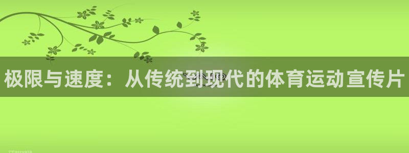 3377体育官方正版app神州:极限与速度:从传统到现代的体