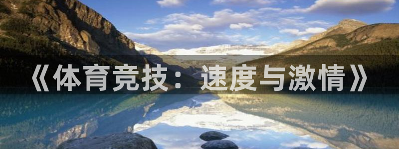 3377体育官方正版app集团logo:《体育竞技:速度与激